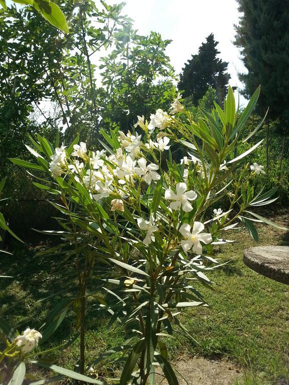 Basisa Bed&Breakfast San Lazzaro di Savena Extérieur photo