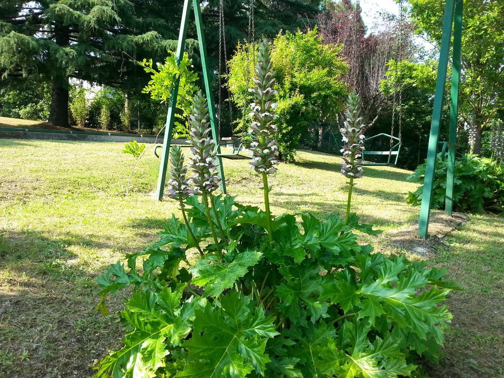 Basisa Bed&Breakfast San Lazzaro di Savena Extérieur photo